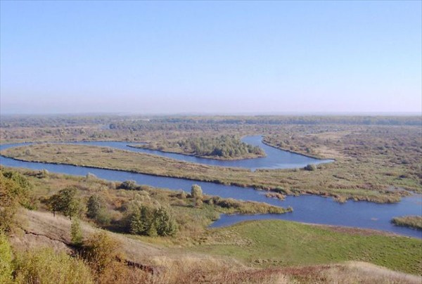 Флору и фауну Воронинского заповедника изучат в МГУ - фото 1