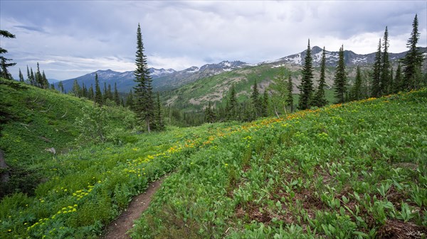 Граница леса перед Караташским перевалом