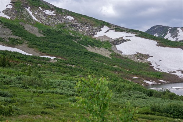 Бараньи лбы