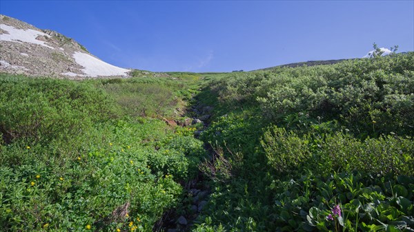 Впереди перевал Козьи Ворота
