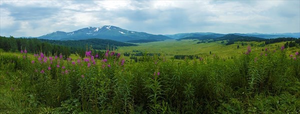 По дороге к Красной Горе. Фото Г. Радченко.