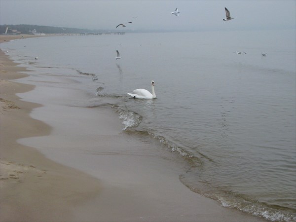 Гданьск. Балтийское море