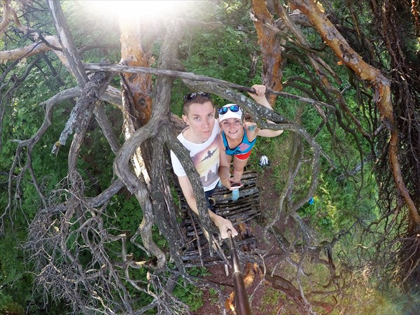 Мы на дереве