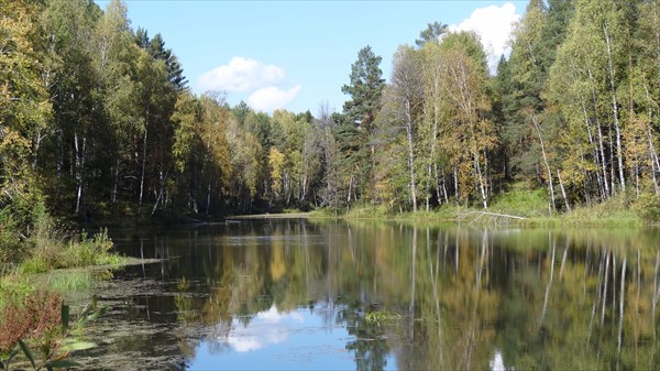 Река Веткула