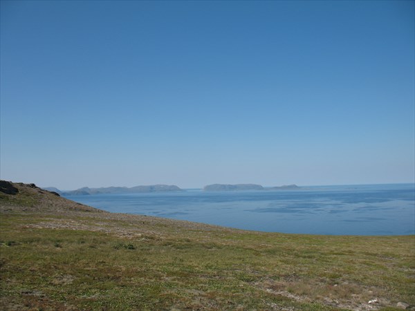 Artic View
