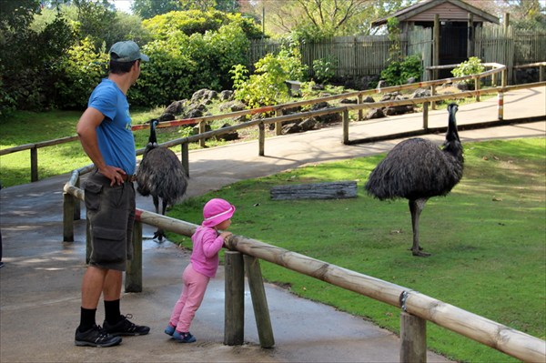 Auckzoo_02