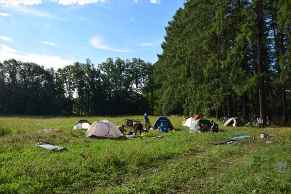 Наш лагерь на поляне