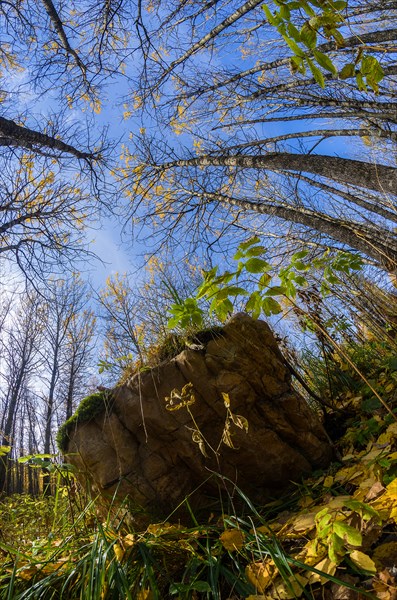 Камень, просто камень