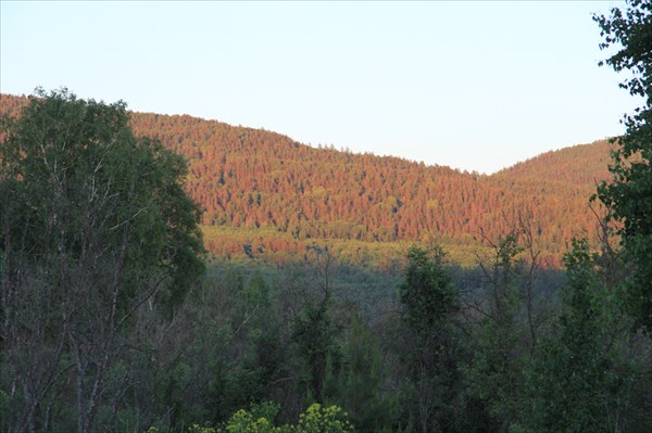 Хребет Бакты.