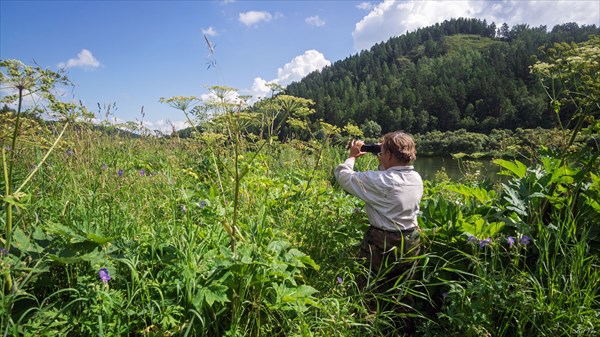 Цветущие луга