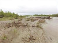 Вода недавно ушла