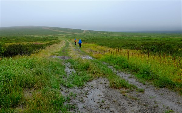 Первые километры тундры. Фото И.Карманова