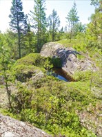 Ванночка с пресной водой