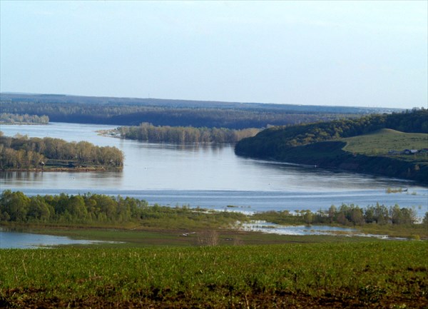 Река Белая в районе города Дюртюли (Башкирия). Весенний разлив.