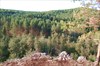 на фото: Ущелье реки Сим. Серпиеевский пещерный град