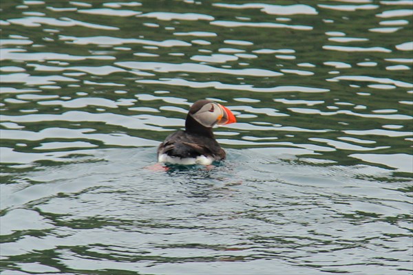 Husavik_IMG_2393