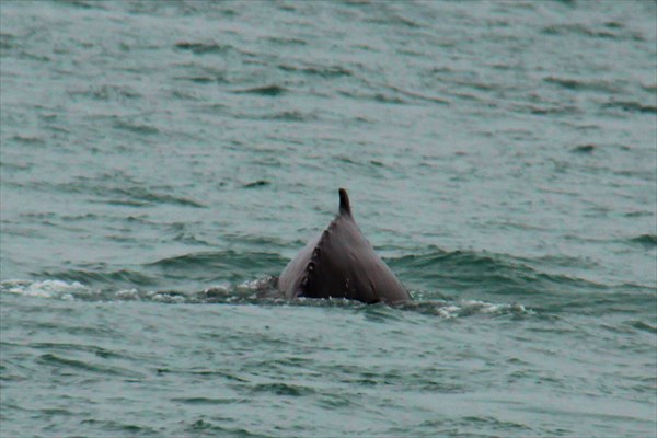 Husavik_IMG_2468