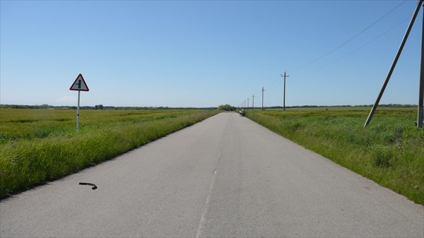 Дорога в светлую даль