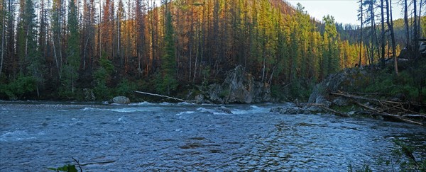 Начало 'трубы'
