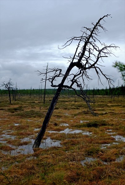 029_Виды вдоль дороги