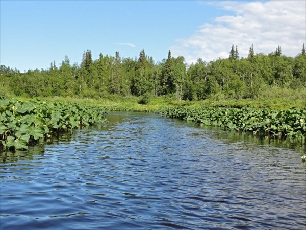 Перекат