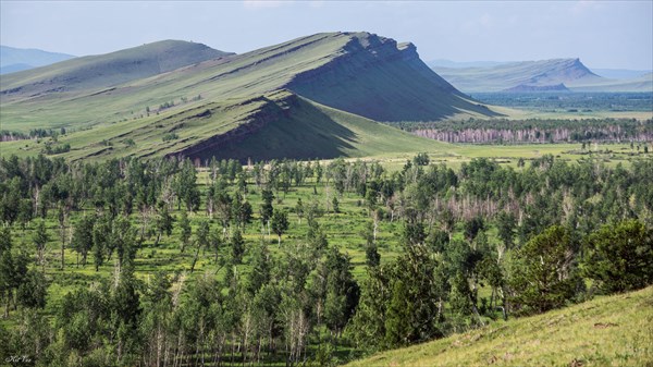 Сундуки