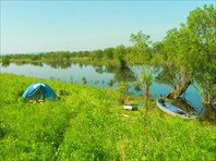 На берегу курьи.