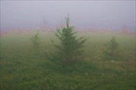 IMG_1561