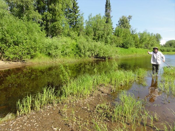 Рыбалка в заливчике