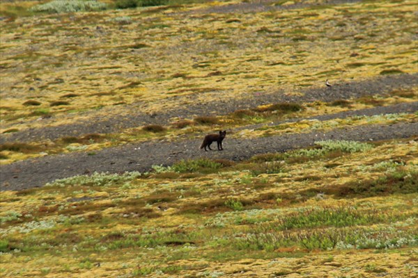 Skaftafell_IMG_0387