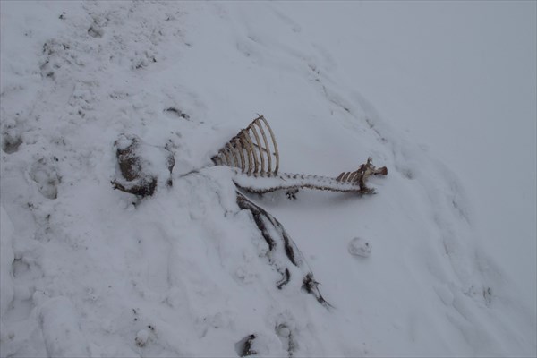 Ему не повезло в прошлом сезоне