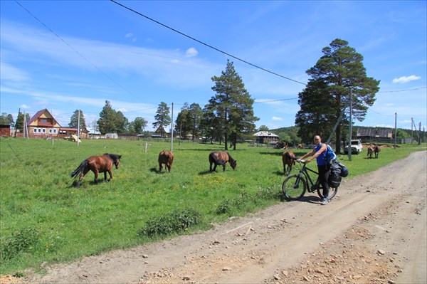 Арша (Верхнеаршинск)