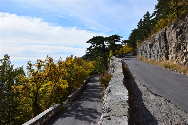 Витки серпантина