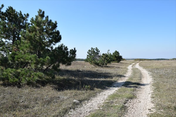 Дорога в Пчелиное