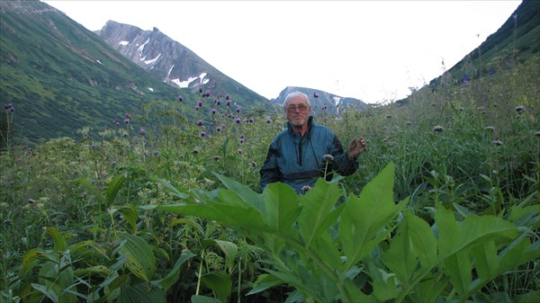 Высокотравье