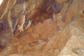 DSC03447