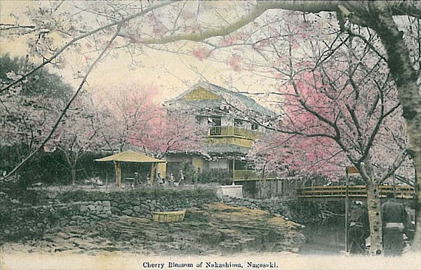 800px-Cherry_Blossom_of_Nakashima_Nagasaki_1912