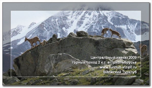 Central_caucas_2009_iovkov_IMG_1028