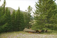 2013-07-14_20-40-12-37