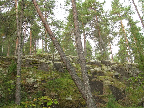 Скалы в лесу