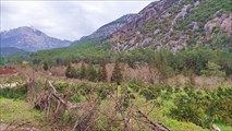 IMG_20220322_125711