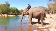 Купание слона на одном из водопадов Tad Lo