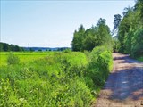 IMG_20200620_114454