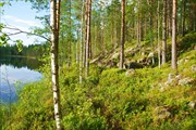Стоянка на озере Suurijarvi