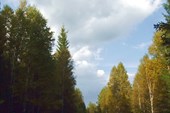 DSCF1288