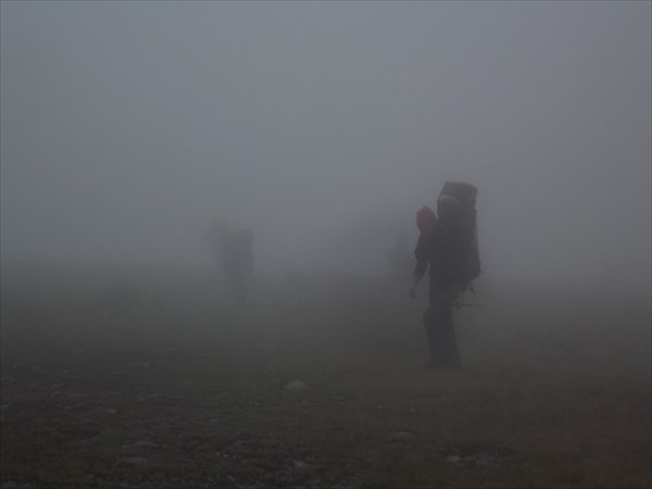 Ёжики в тумане