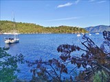 IMG_20201001_083137