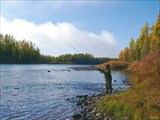 Рыбалка на впадении притока Сосновый