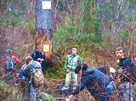 Камни насыпанные богом.