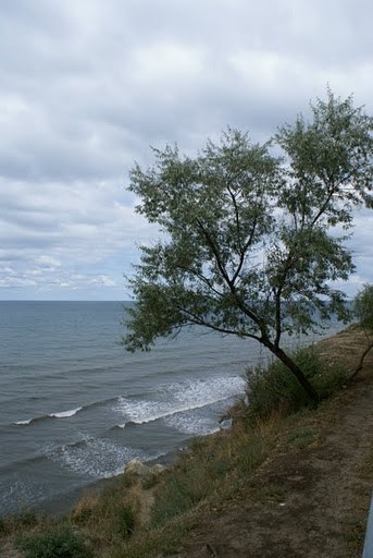 Вид с высокого берега. Город Анапа.